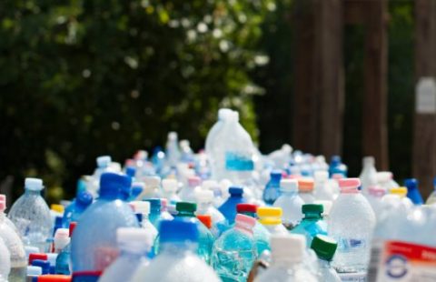 Clasificación de los plásticos: una oportunidad para facilitar su reciclaje